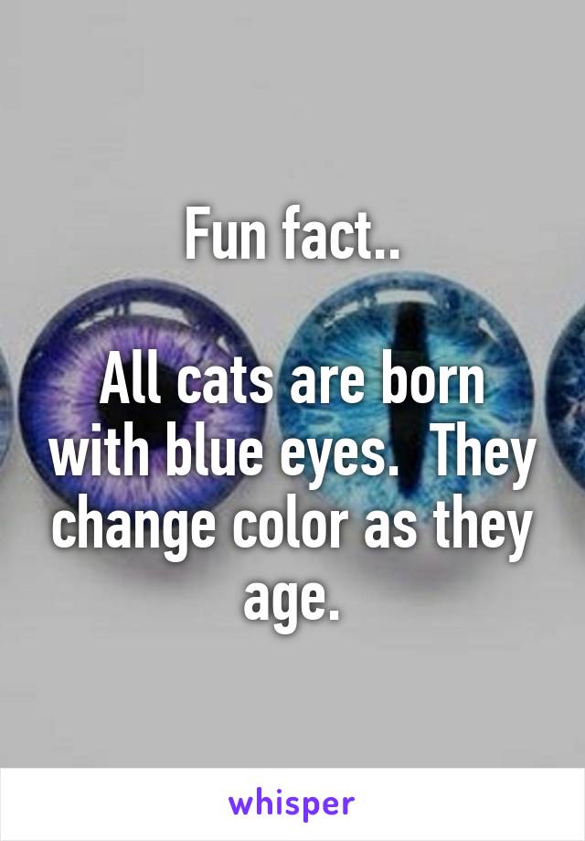 Fun fact..

All cats are born with blue eyes.  They change color as they age.