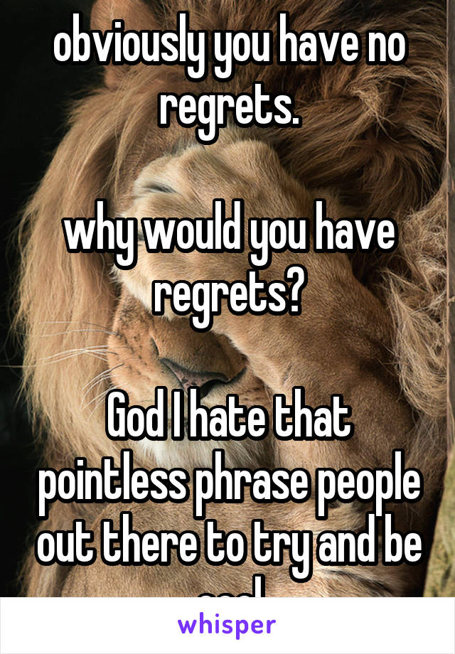 obviously you have no regrets.

why would you have regrets?

God I hate that pointless phrase people out there to try and be cool