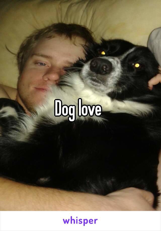 Dog love 