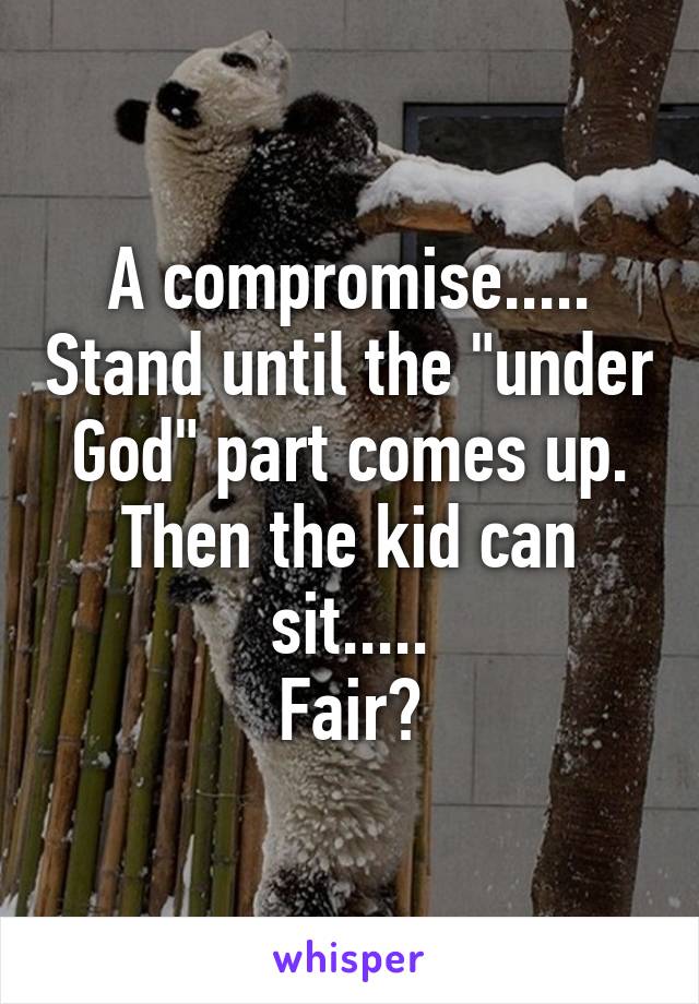 A compromise..... Stand until the "under God" part comes up. Then the kid can sit.....
Fair?