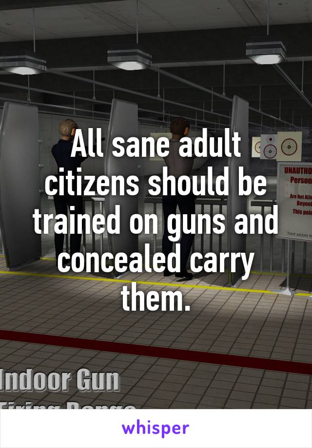 All sane adult citizens should be trained on guns and concealed carry them.