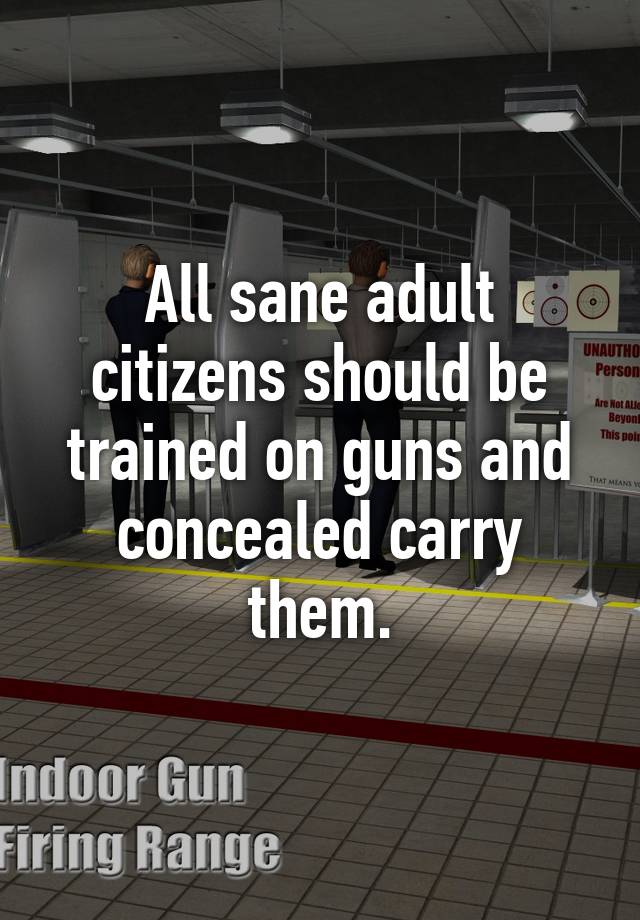 All sane adult citizens should be trained on guns and concealed carry them.