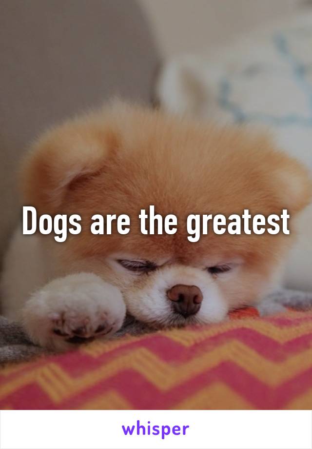 Dogs are the greatest