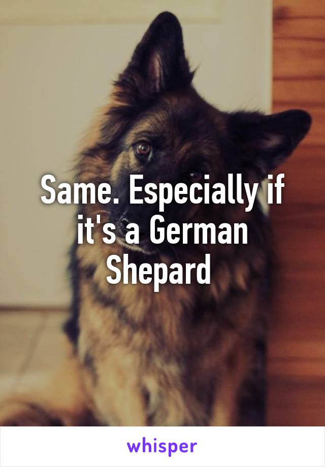 Same. Especially if it's a German Shepard 