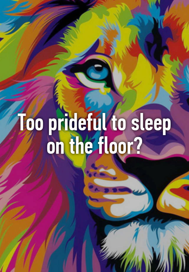 too-prideful-to-sleep-on-the-floor