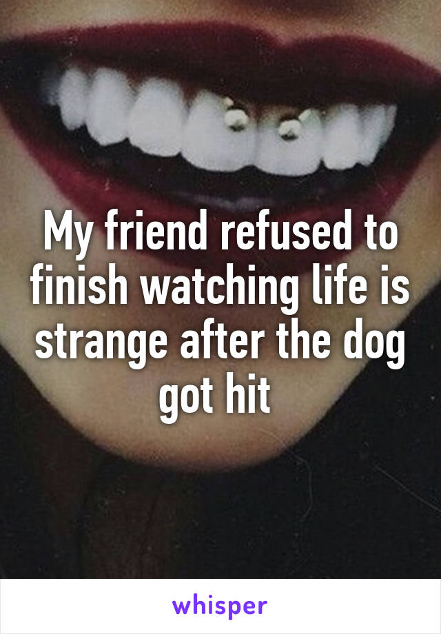 My friend refused to finish watching life is strange after the dog got hit 