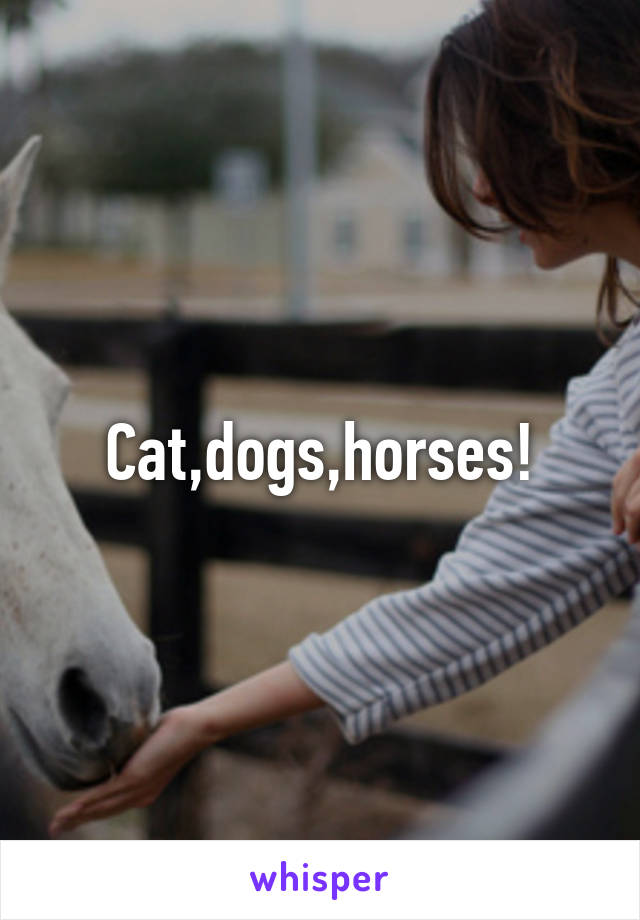 Cat,dogs,horses!