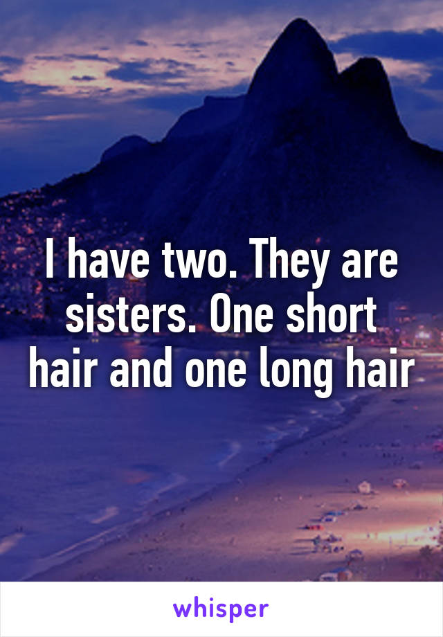 I have two. They are sisters. One short hair and one long hair