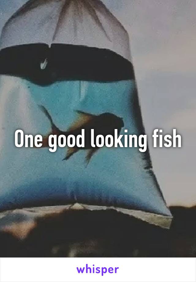 One good looking fish