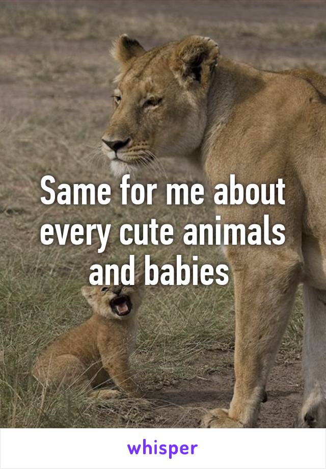 Same for me about every cute animals and babies 