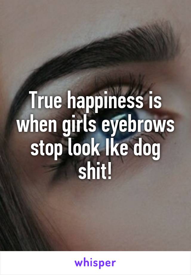 True happiness is when girls eyebrows stop look Ike dog shit!