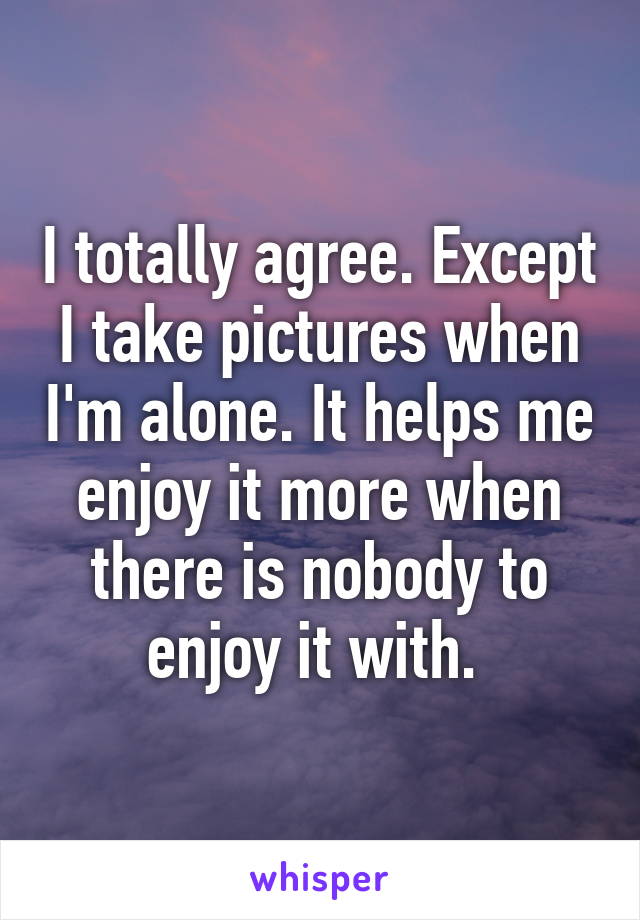 I totally agree. Except I take pictures when I'm alone. It helps me enjoy it more when there is nobody to enjoy it with. 