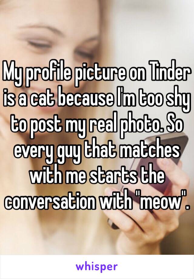 My profile picture on Tinder is a cat because I'm too shy to post my real photo. So every guy that matches with me starts the conversation with "meow".