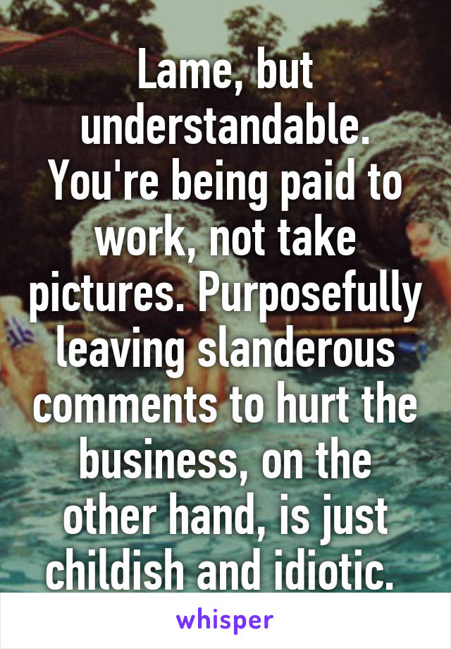 Lame, but understandable. You're being paid to work, not take pictures. Purposefully leaving slanderous comments to hurt the business, on the other hand, is just childish and idiotic. 