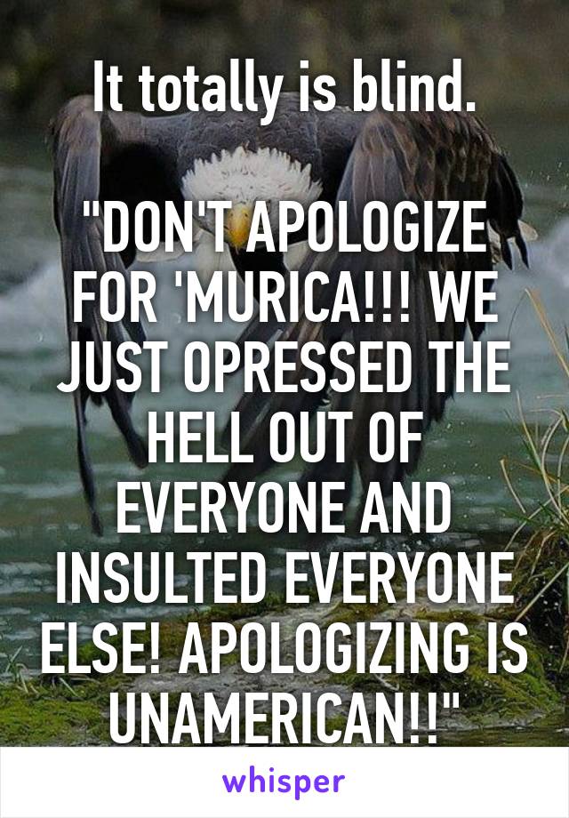 It totally is blind.

"DON'T APOLOGIZE FOR 'MURICA!!! WE JUST OPRESSED THE HELL OUT OF EVERYONE AND INSULTED EVERYONE ELSE! APOLOGIZING IS UNAMERICAN!!"