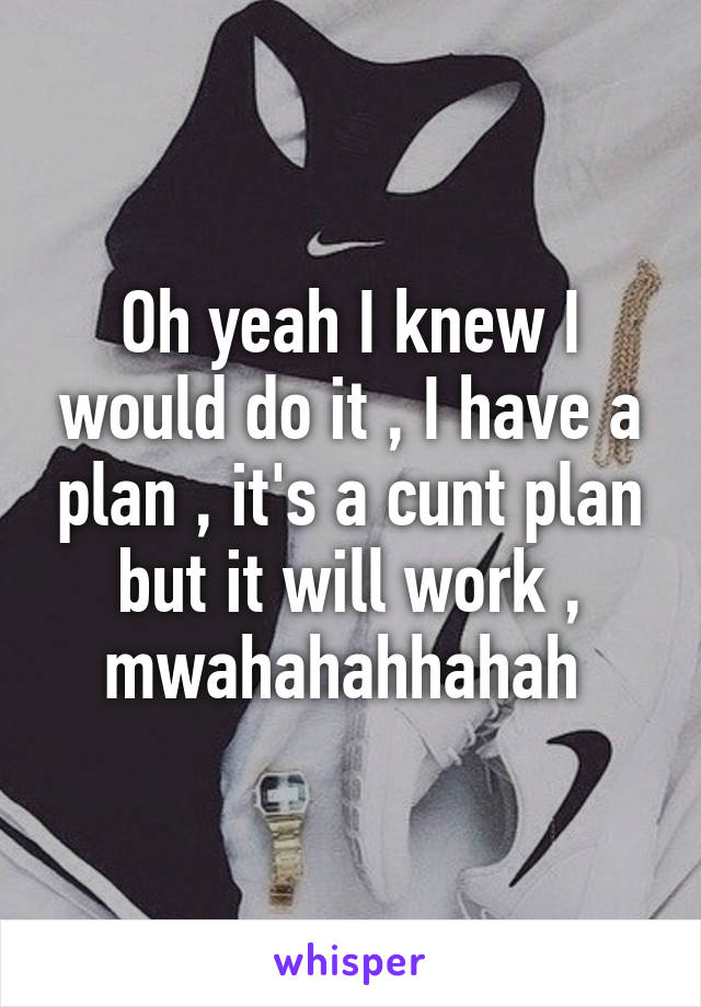 Oh yeah I knew I would do it , I have a plan , it's a cunt plan but it will work , mwahahahhahah 