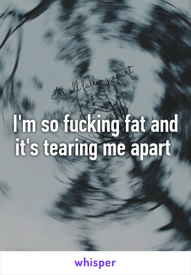 I'm so fucking fat and it's tearing me apart 