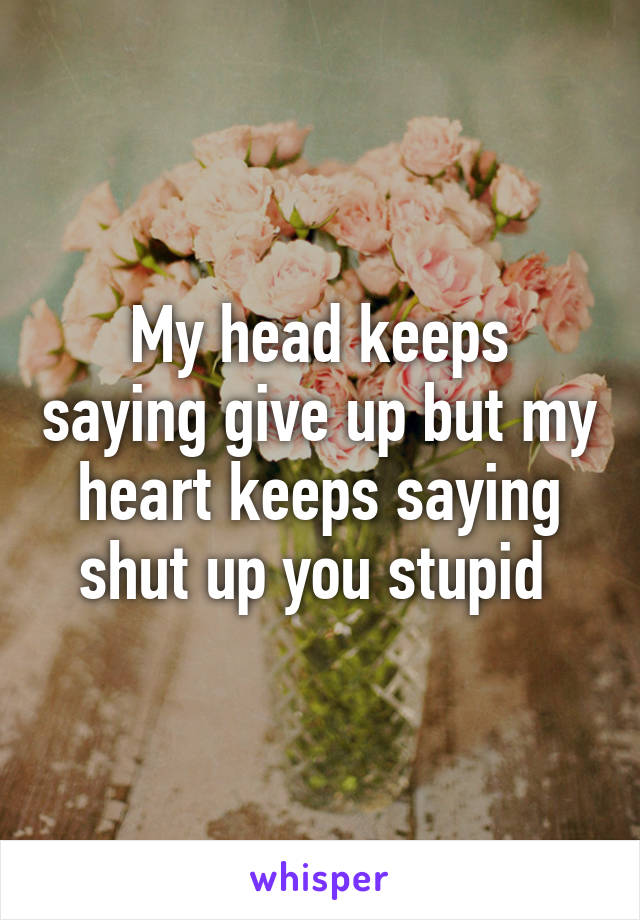 My head keeps saying give up but my heart keeps saying shut up you stupid 