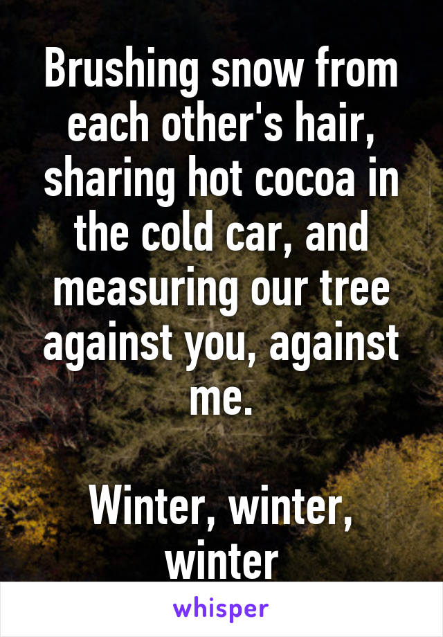 Brushing snow from each other's hair, sharing hot cocoa in the cold car, and measuring our tree against you, against me.

Winter, winter, winter