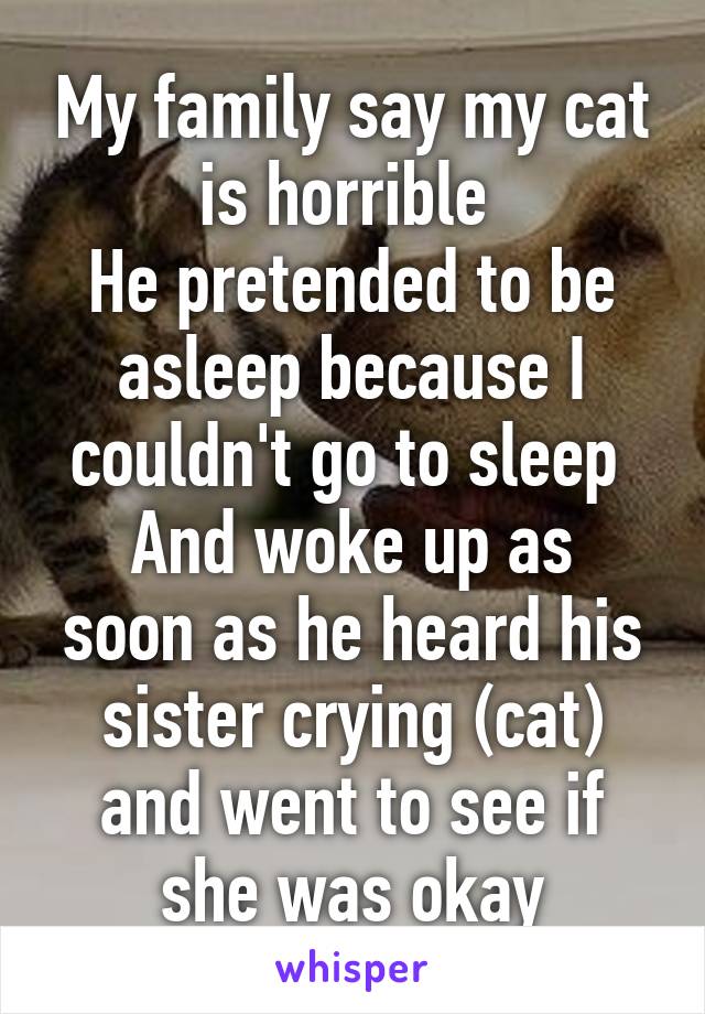 My family say my cat is horrible 
He pretended to be asleep because I couldn't go to sleep 
And woke up as soon as he heard his sister crying (cat) and went to see if she was okay