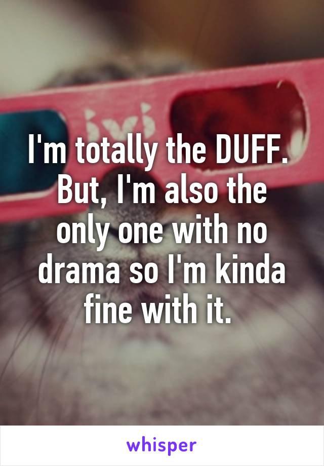 I'm totally the DUFF. 
But, I'm also the only one with no drama so I'm kinda fine with it. 