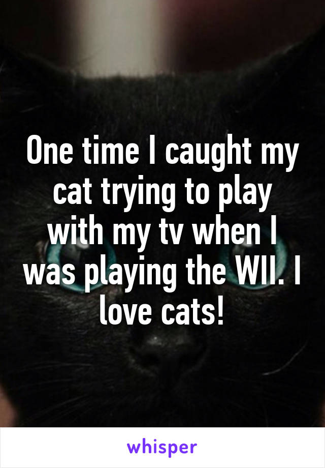 One time I caught my cat trying to play with my tv when I was playing the WII. I love cats!