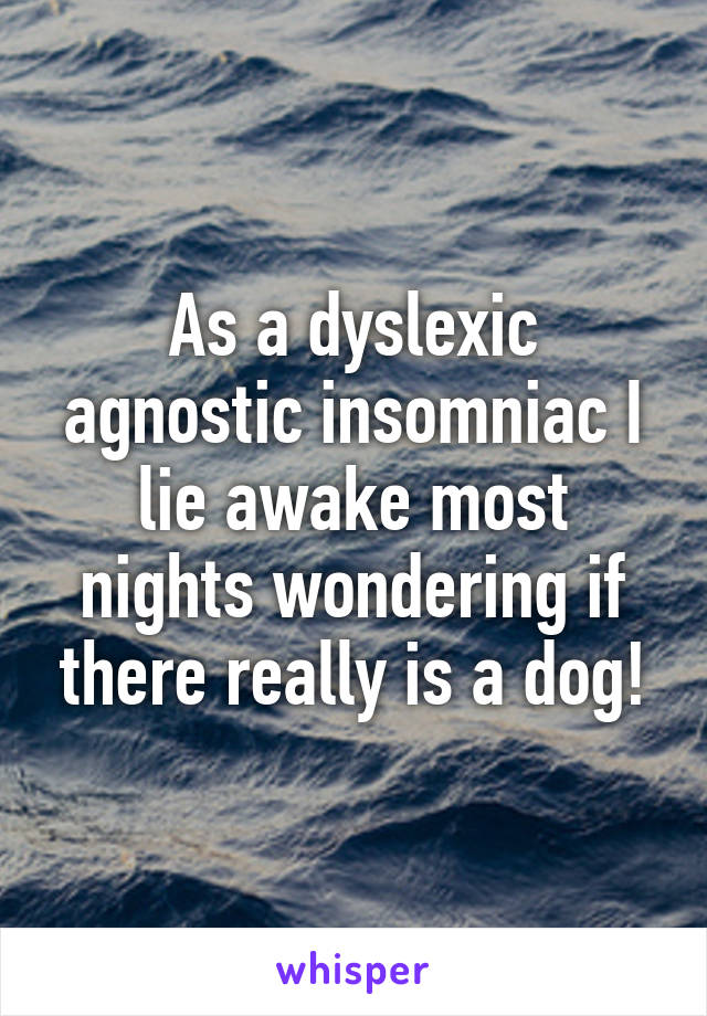 As a dyslexic agnostic insomniac I lie awake most nights wondering if there really is a dog!
