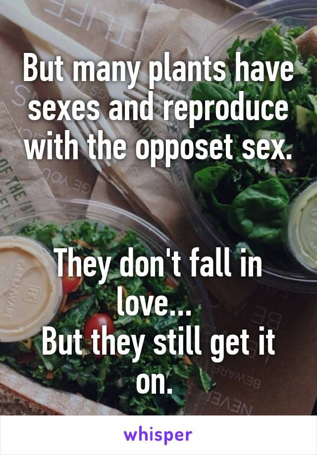 But many plants have sexes and reproduce with the opposet sex. 

They don't fall in love... 
But they still get it on. 