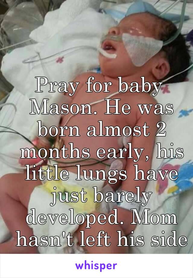 Pray for baby Mason. He was born almost 2 months early, his little lungs have just barely developed. Mom hasn't left his side once. 