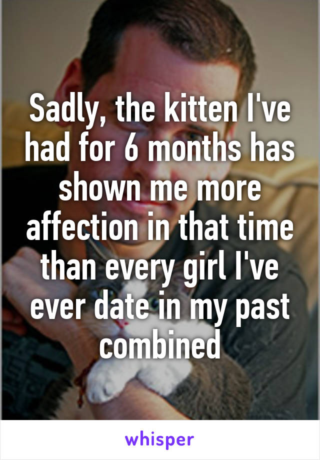 Sadly, the kitten I've had for 6 months has shown me more affection in that time than every girl I've ever date in my past combined