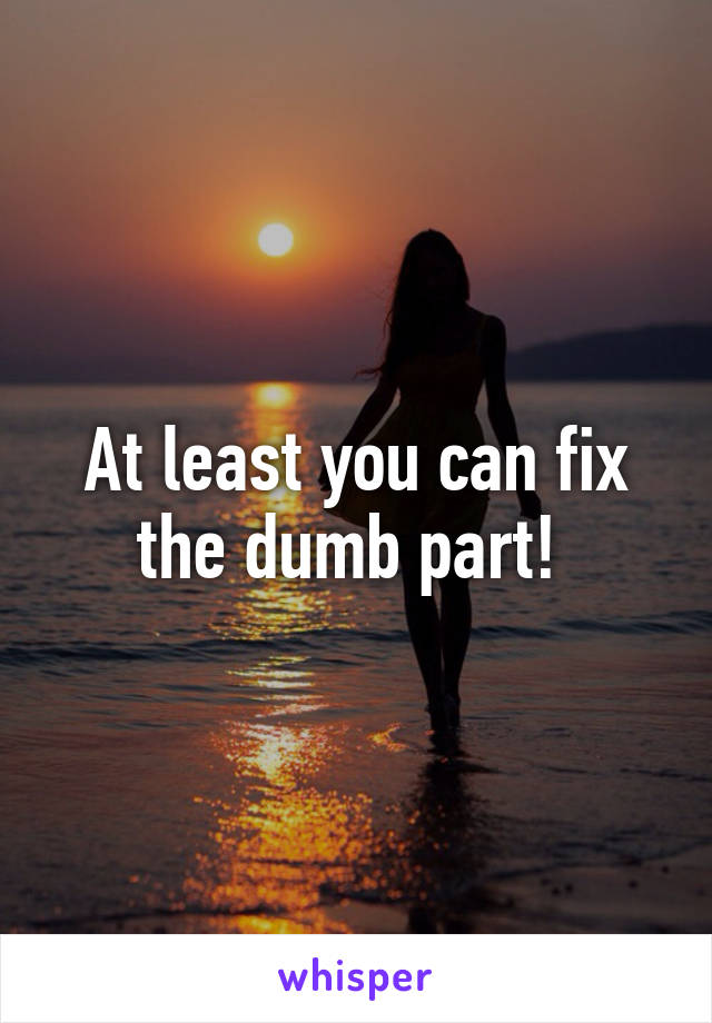 At least you can fix the dumb part! 