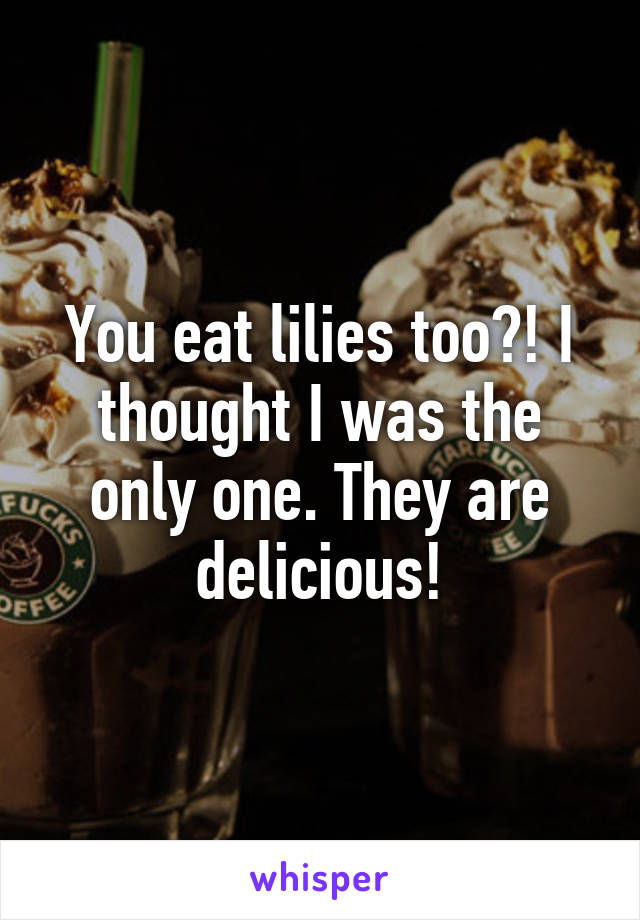 You eat lilies too?! I thought I was the only one. They are delicious!