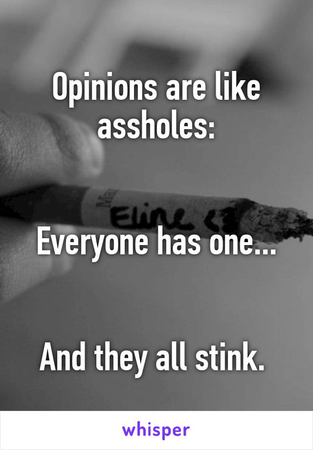 Opinions are like assholes:


Everyone has one...


And they all stink. 