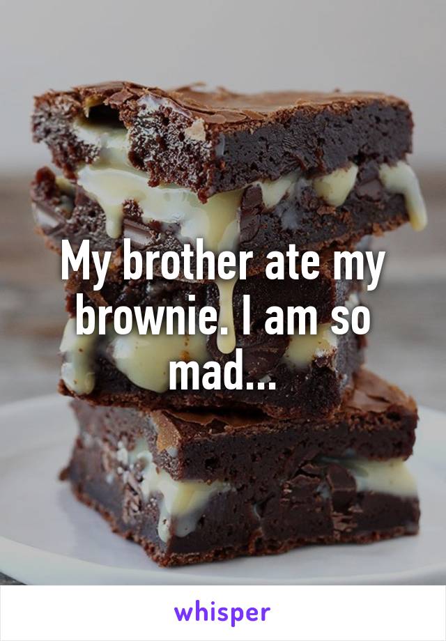 My brother ate my brownie. I am so mad...