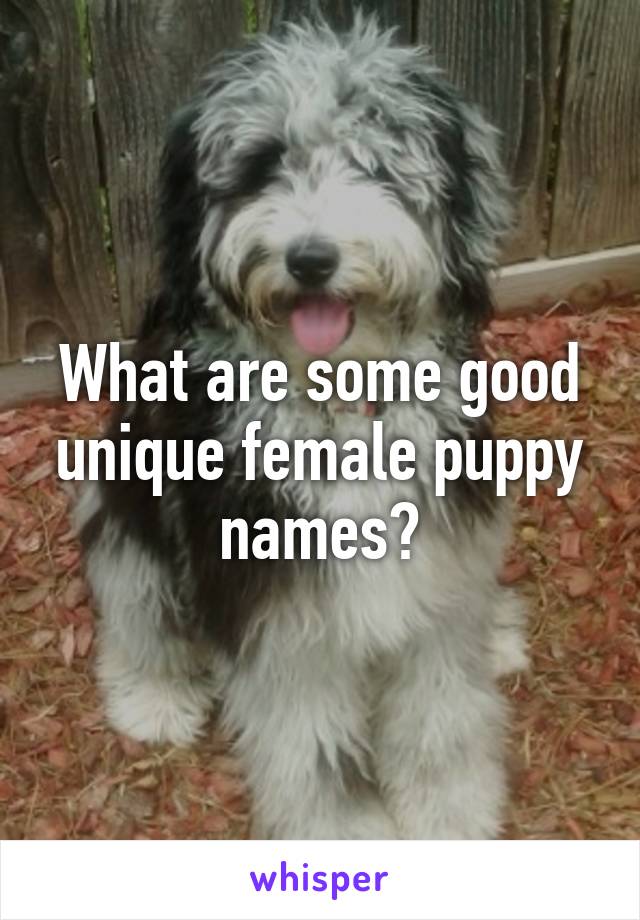 What are some good unique female puppy names?