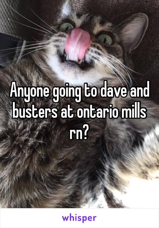 Anyone going to dave and busters at ontario mills rn?
