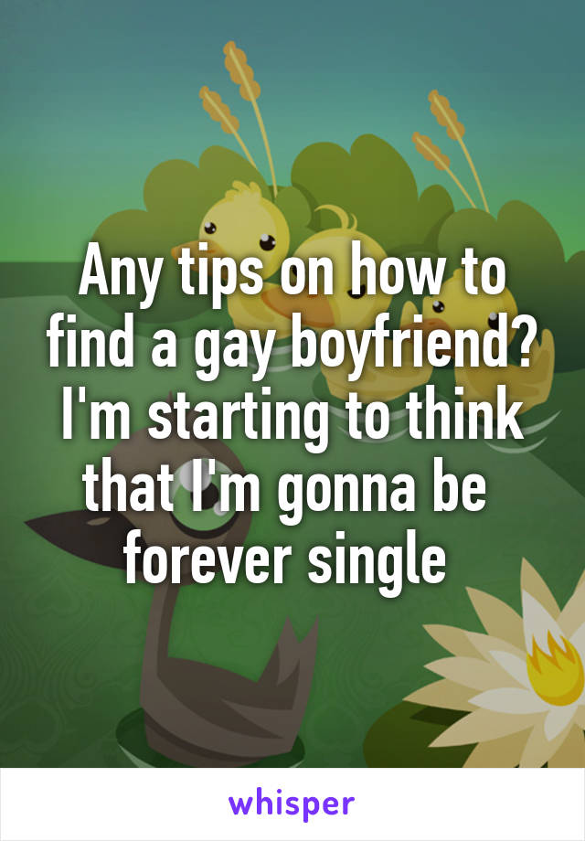 Any tips on how to find a gay boyfriend? I'm starting to think that I'm gonna be  forever single 