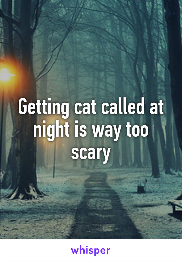 Getting cat called at night is way too scary