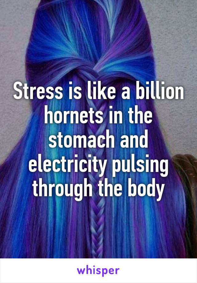 Stress is like a billion hornets in the stomach and electricity pulsing through the body