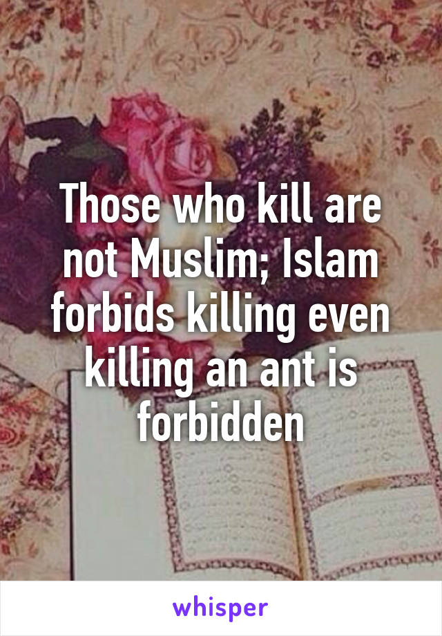 Those who kill are not Muslim; Islam forbids killing even killing an ant is forbidden