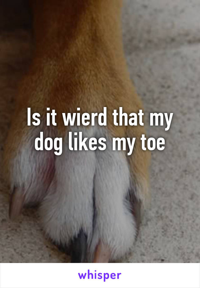 Is it wierd that my dog likes my toe
