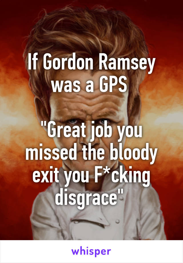 If Gordon Ramsey was a GPS 

"Great job you missed the bloody exit you F*cking disgrace" 