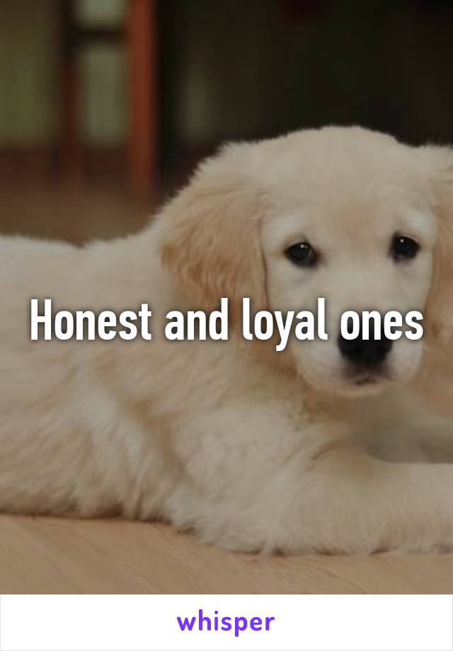 Honest and loyal ones