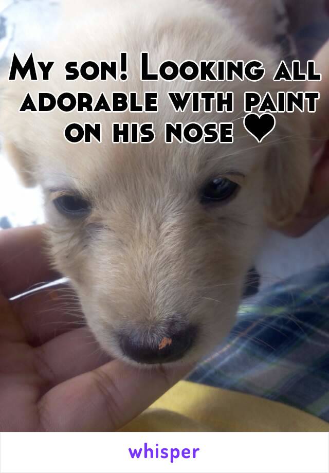 My son! Looking all adorable with paint on his nose ❤