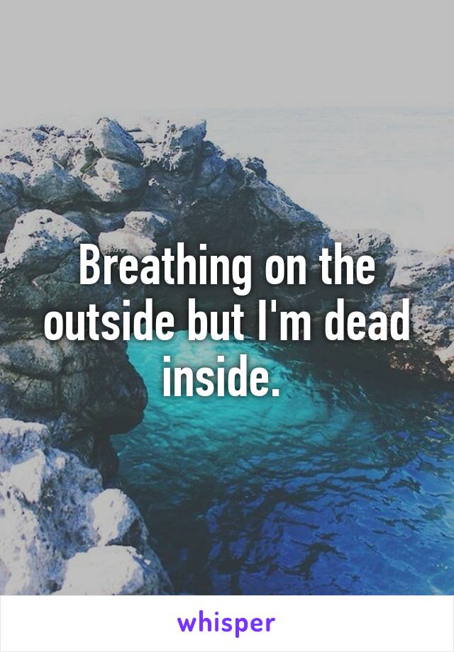 Breathing on the outside but I'm dead inside. 