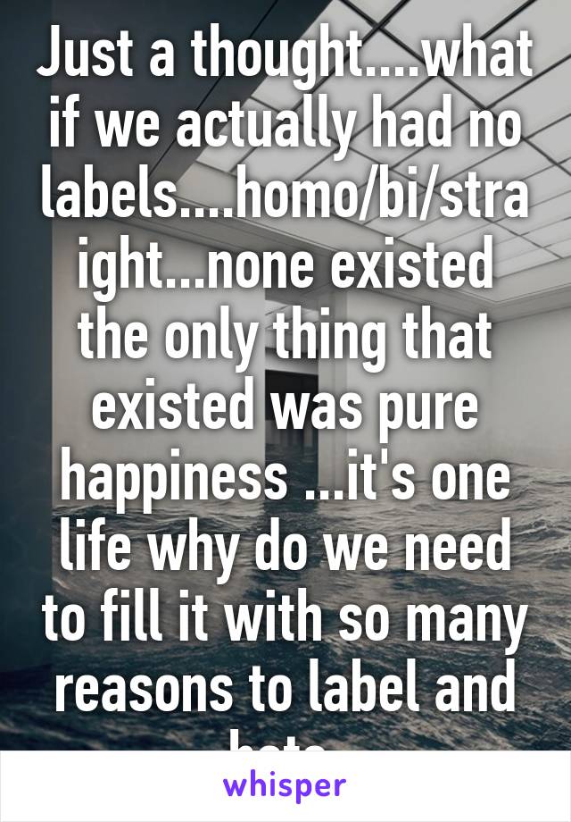 Just a thought....what if we actually had no labels....homo/bi/straight...none existed the only thing that existed was pure happiness ...it's one life why do we need to fill it with so many reasons to label and hate 
