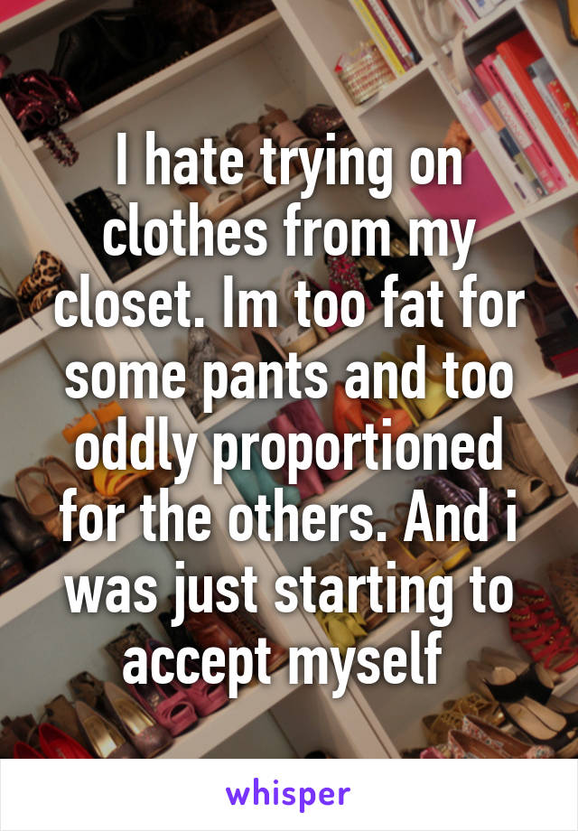 I hate trying on clothes from my closet. Im too fat for some pants and too oddly proportioned for the others. And i was just starting to accept myself 
