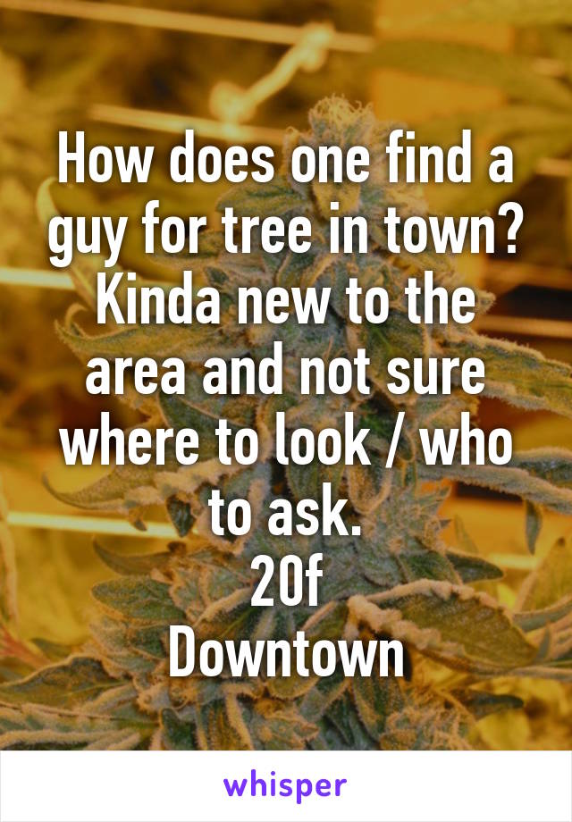 How does one find a guy for tree in town?
Kinda new to the area and not sure where to look / who to ask.
20f
Downtown
