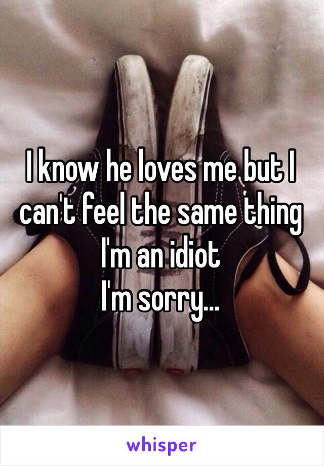 I know he loves me but I can't feel the same thing
I'm an idiot 
I'm sorry...