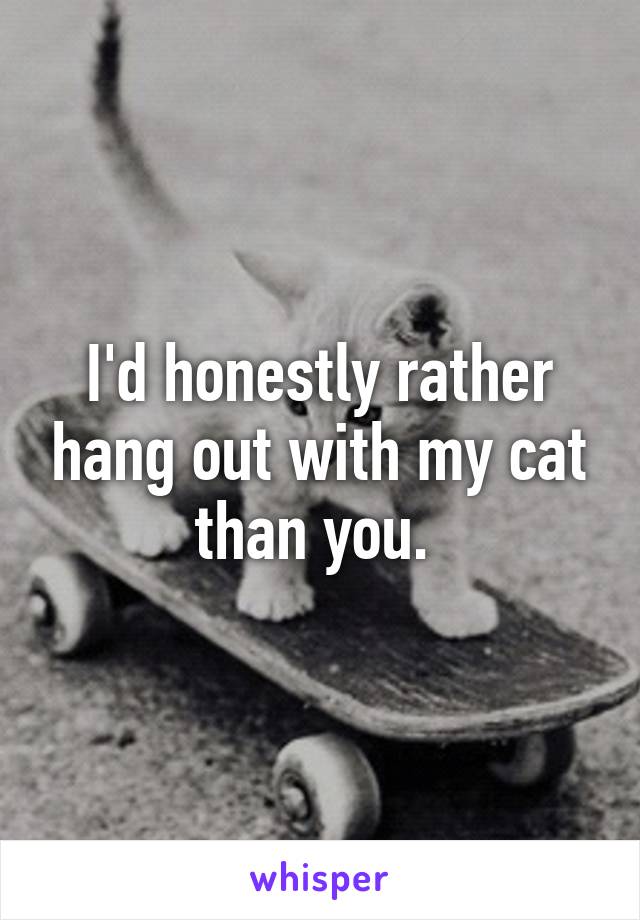 I'd honestly rather hang out with my cat than you. 